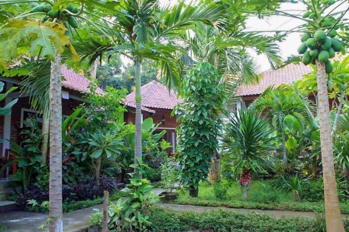 Enak Bungalow Amed  Exterior photo